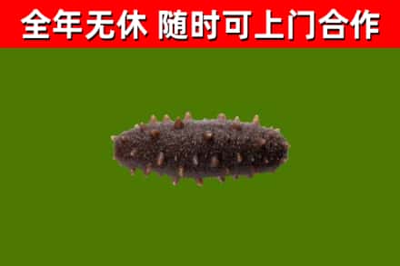 辽宁回收海参干